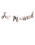 Just Married Rose Gold Bunting Backdrop