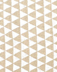 White Triangle Print
