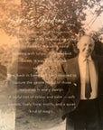 MyGrandadTheInspiratonBehindSpringGardens
